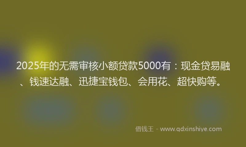 2025年的无需审核小额贷款5000有：现金贷易融、钱速达融、迅捷宝钱包、会用花、超快购等。