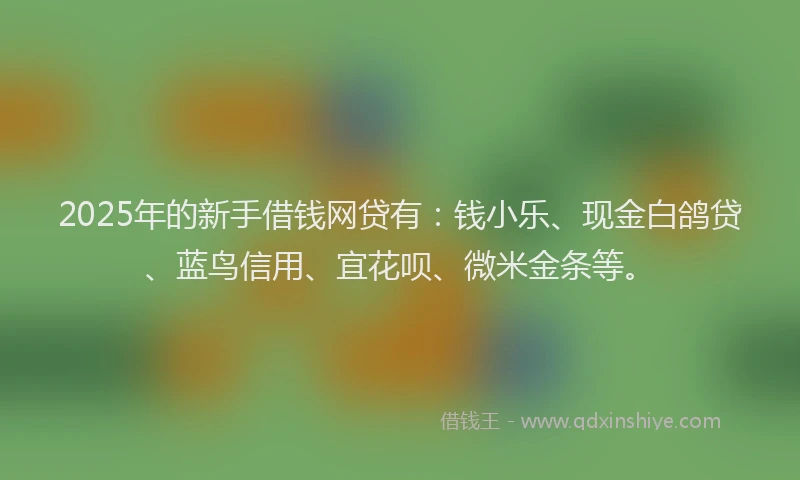 2025年的新手借钱网贷有：钱小乐、现金白鸽贷、蓝鸟信用、宜花呗、微米金条等。
