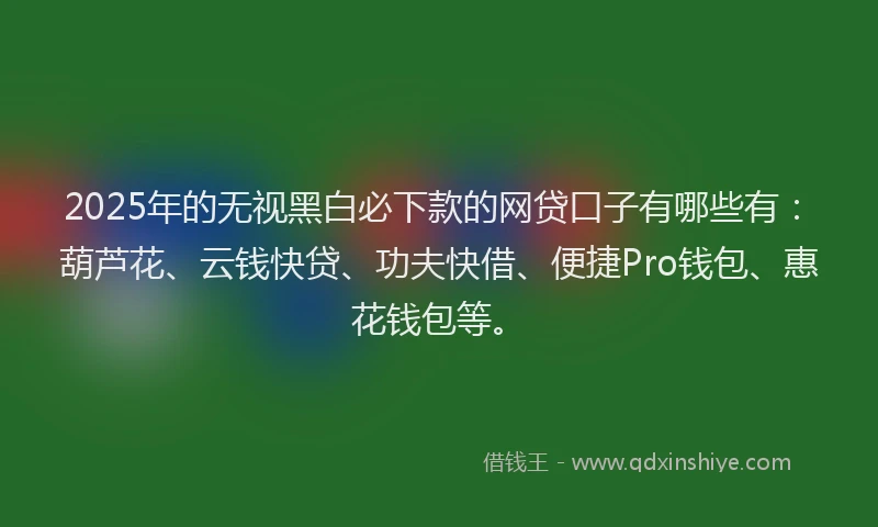 2025年的无视黑白必下款的网贷口子有哪些有：葫芦花、云钱快贷、功夫快借、便捷Pro钱包、惠花钱包等。