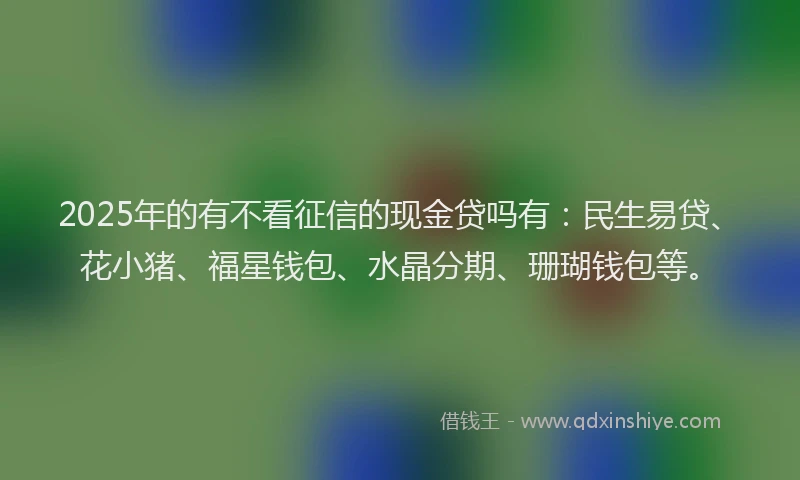 2025年的有不看征信的现金贷吗有：民生易贷、花小猪、福星钱包、水晶分期、珊瑚钱包等。