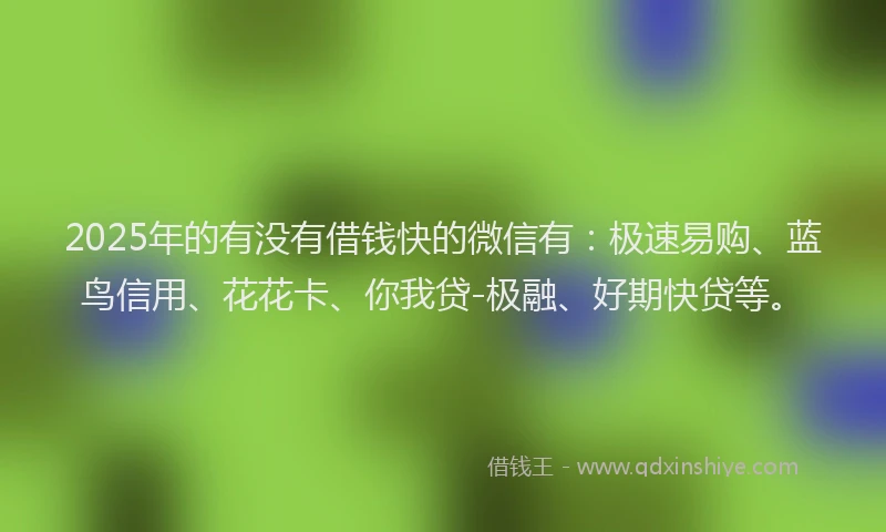 2025年的有没有借钱快的微信有：极速易购、蓝鸟信用、花花卡、你我贷-极融、好期快贷等。