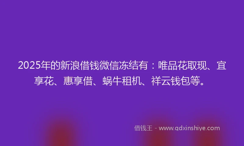 2025年的新浪借钱微信冻结有：唯品花取现、宜享花、惠享借、蜗牛租机、祥云钱包等。