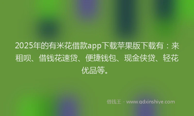 2025年的有米花借款app下载苹果版下载有：来租呗、借钱花速贷、便捷钱包、现金侠贷、轻花优品等。