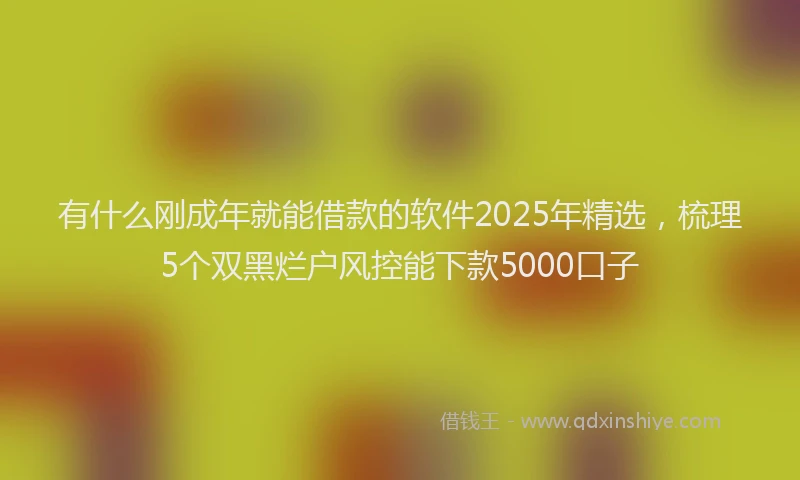 有什么刚成年就能借款的软件2025年精选，梳理5个双黑烂户风控能下款5000口子