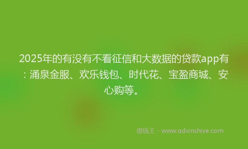 2025年的有没有不看征信和大数据的贷款app有：涌泉金服、欢乐钱包、时代花、宝盈商城、安心购等。