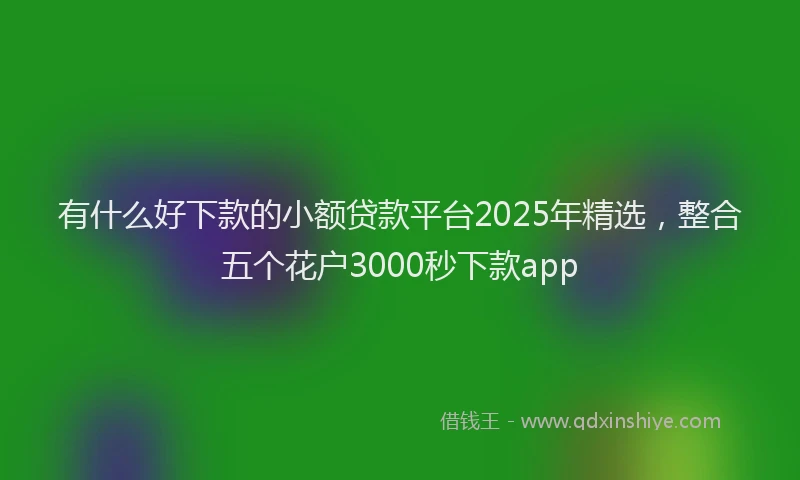 有什么好下款的小额贷款平台2025年精选，整合五个花户3000秒下款app
