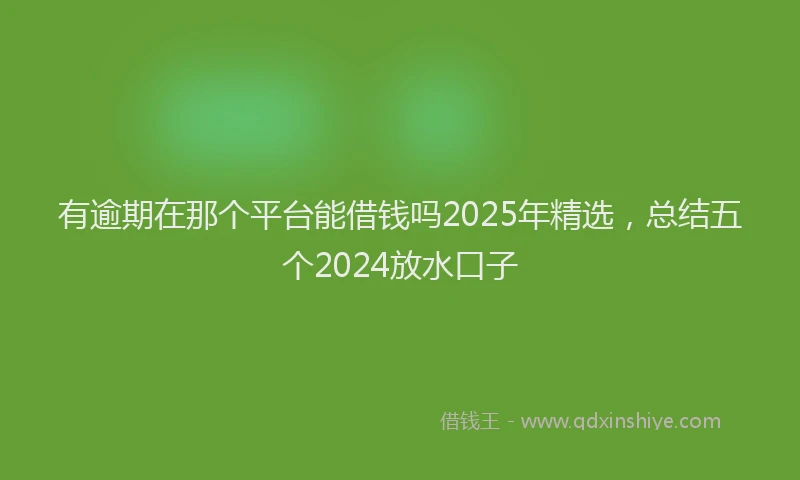 有逾期在那个平台能借钱吗2025年精选，总结五个2024放水口子
