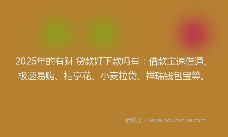 2025年的有财 贷款好下款吗有：借款宝速借通、极速易购、桔享花、小麦粒贷、祥瑞钱包宝等。