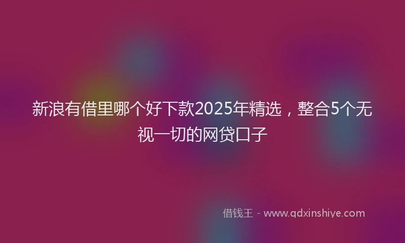 新浪有借里哪个好下款2025年精选，整合5个无视一切的网贷口子