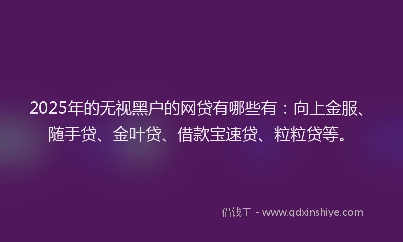 2025年的无视黑户的网贷有哪些有：向上金服、随手贷、金叶贷、借款宝速贷、粒粒贷等。