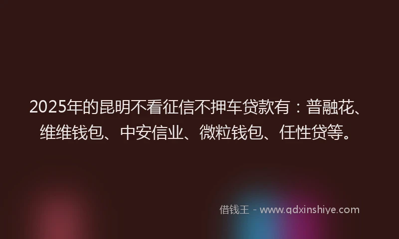 2025年的昆明不看征信不押车贷款有：普融花、维维钱包、中安信业、微粒钱包、任性贷等。