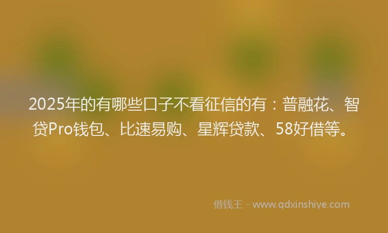 2025年的有哪些口子不看征信的有：普融花、智贷Pro钱包、比速易购、星辉贷款、58好借等。