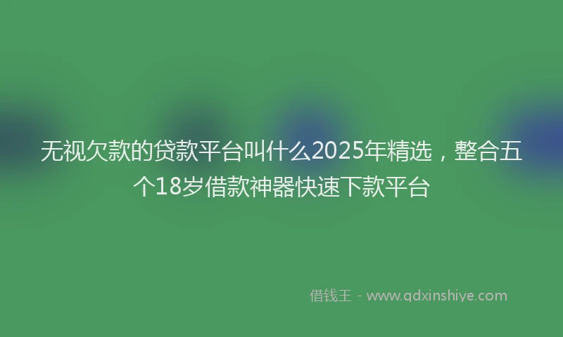 无视欠款的贷款平台叫什么2025年精选，整合五个18岁借款神器快速下款平台