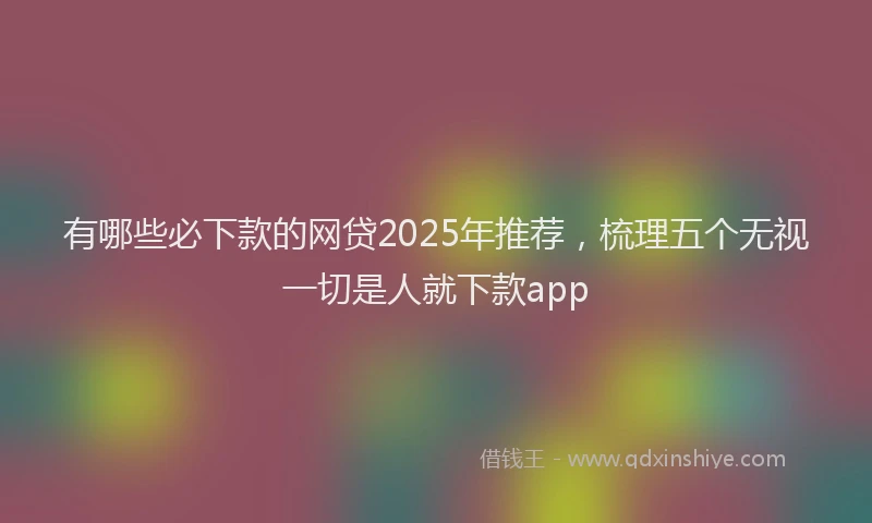 有哪些必下款的网贷2025年推荐，梳理五个无视一切是人就下款app
