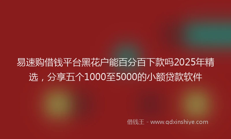 易速购借钱平台黑花户能百分百下款吗2025年精选，分享五个1000至5000的小额贷款软件