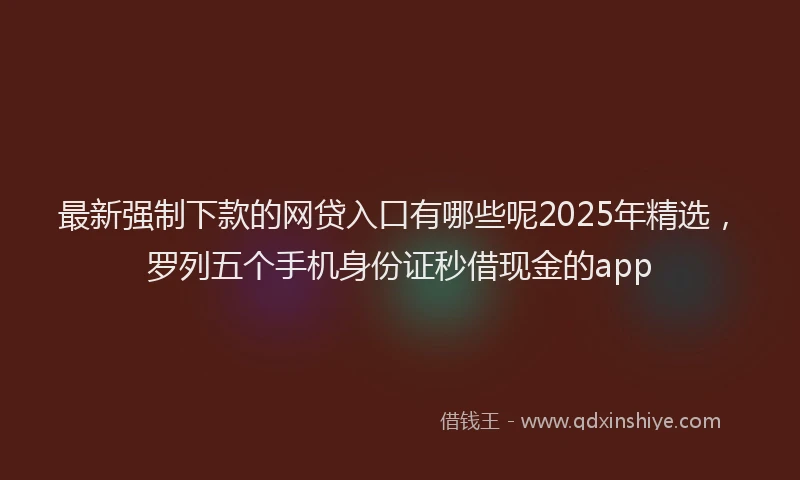 最新强制下款的网贷入口有哪些呢2025年精选，罗列五个手机身份证秒借现金的app