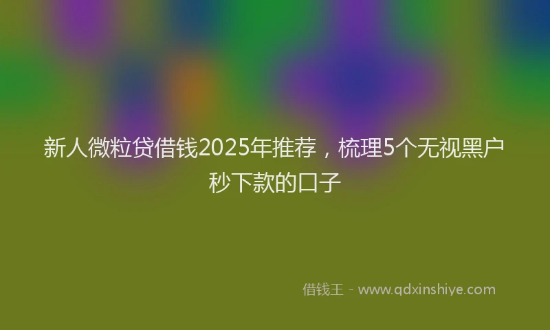 新人微粒贷借钱2025年推荐，梳理5个无视黑户秒下款的口子