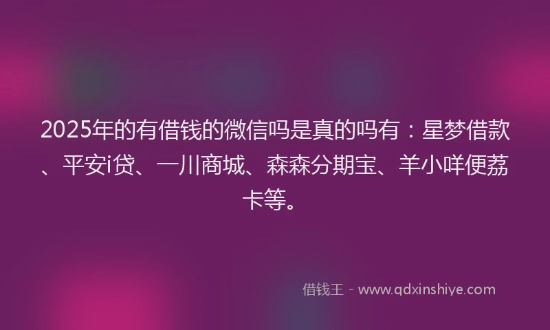 2025年的有借钱的微信吗是真的吗有：星梦借款、平安i贷、一川商城、森森分期宝、羊小咩便荔卡等。