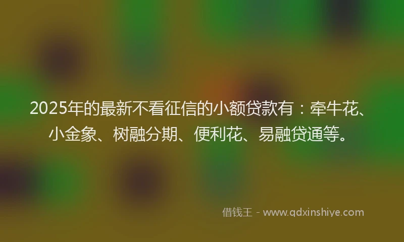 2025年的最新不看征信的小额贷款有：牵牛花、小金象、树融分期、便利花、易融贷通等。