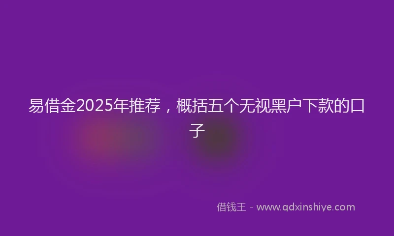 易借金2025年推荐，概括五个无视黑户下款的口子
