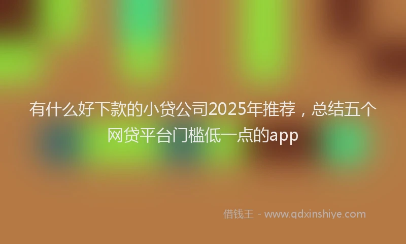 有什么好下款的小贷公司2025年推荐，总结五个网贷平台门槛低一点的app