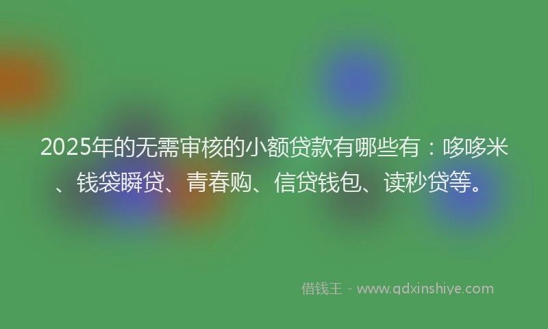 2025年的无需审核的小额贷款有哪些有：哆哆米、钱袋瞬贷、青春购、信贷钱包、读秒贷等。