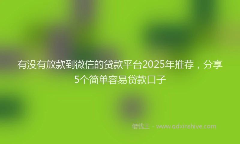 有没有放款到微信的贷款平台2025年推荐，分享5个简单容易贷款口子