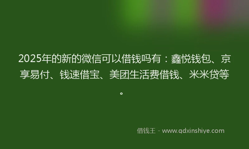2025年的新的微信可以借钱吗有：鑫悦钱包、京享易付、钱速借宝、美团生活费借钱、米米贷等。