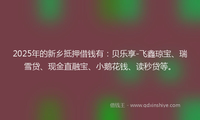 2025年的新乡抵押借钱有：贝乐享-飞鑫琼宝、瑞雪贷、现金直融宝、小鹅花钱、读秒贷等。