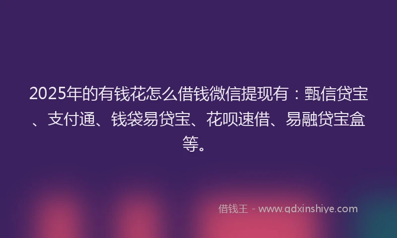 2025年的有钱花怎么借钱微信提现有：甄信贷宝、支付通、钱袋易贷宝、花呗速借、易融贷宝盒等。