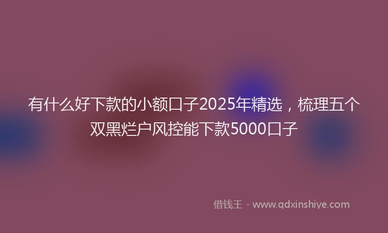 有什么好下款的小额口子2025年精选，梳理五个双黑烂户风控能下款5000口子