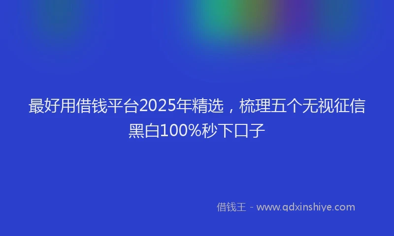 最好用借钱平台2025年精选，梳理五个无视征信黑白100%秒下口子