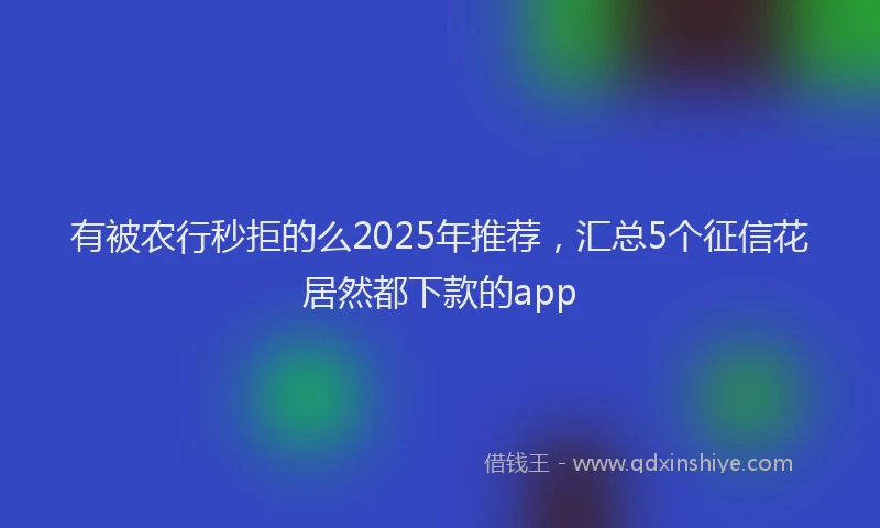 有被农行秒拒的么2025年推荐，汇总5个征信花居然都下款的app