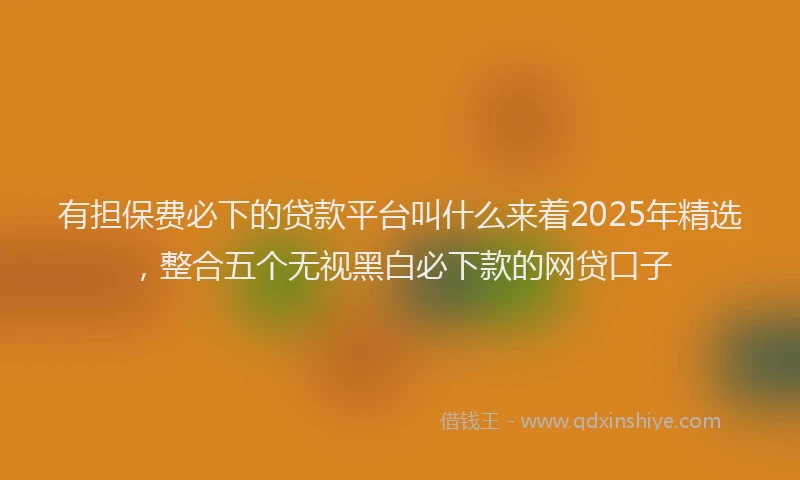 有担保费必下的贷款平台叫什么来着2025年精选，整合五个无视黑白必下款的网贷口子