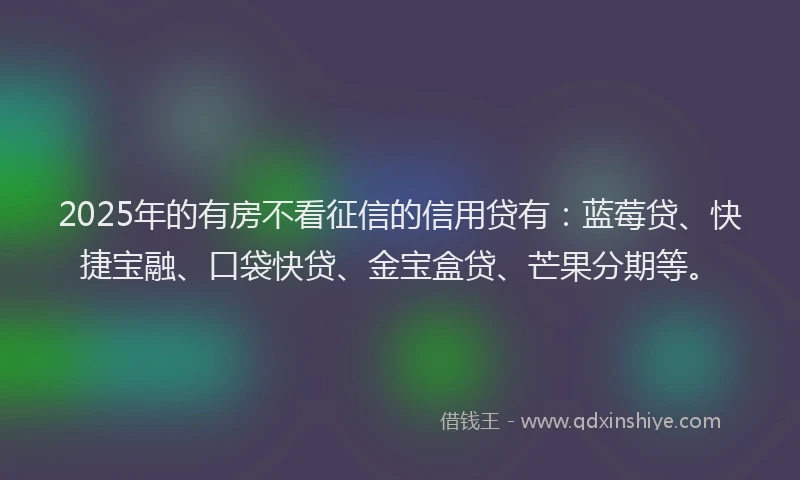 2025年的有房不看征信的信用贷有：蓝莓贷、快捷宝融、口袋快贷、金宝盒贷、芒果分期等。