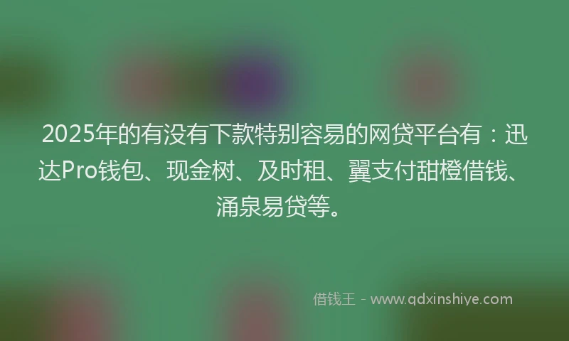 2025年的有没有下款特别容易的网贷平台有：迅达Pro钱包、现金树、及时租、翼支付甜橙借钱、涌泉易贷等。