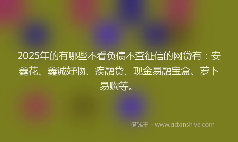 2025年的有哪些不看负债不查征信的网贷有：安鑫花、鑫诚好物、疾融贷、现金易融宝盒、萝卜易购等。