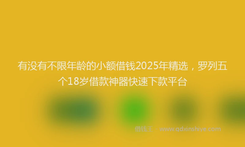 有没有不限年龄的小额借钱2025年精选，罗列五个18岁借款神器快速下款平台