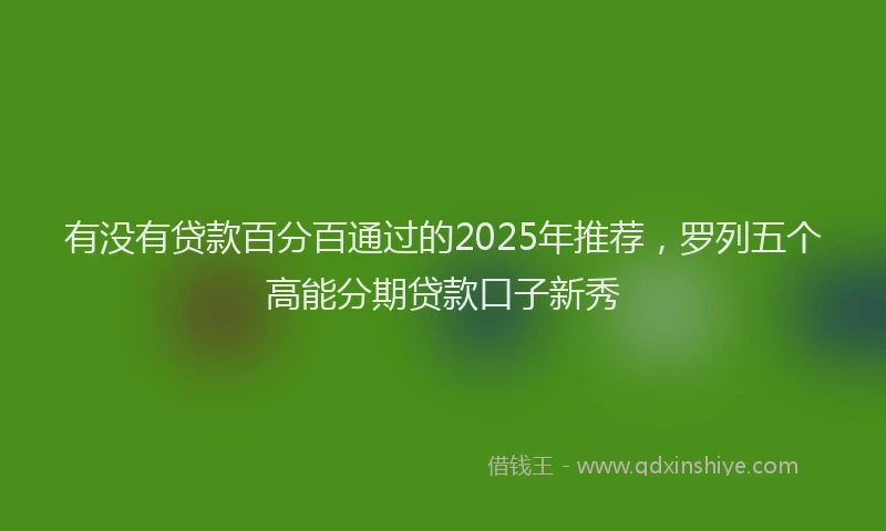 有没有贷款百分百通过的2025年推荐，罗列五个高能分期贷款口子新秀