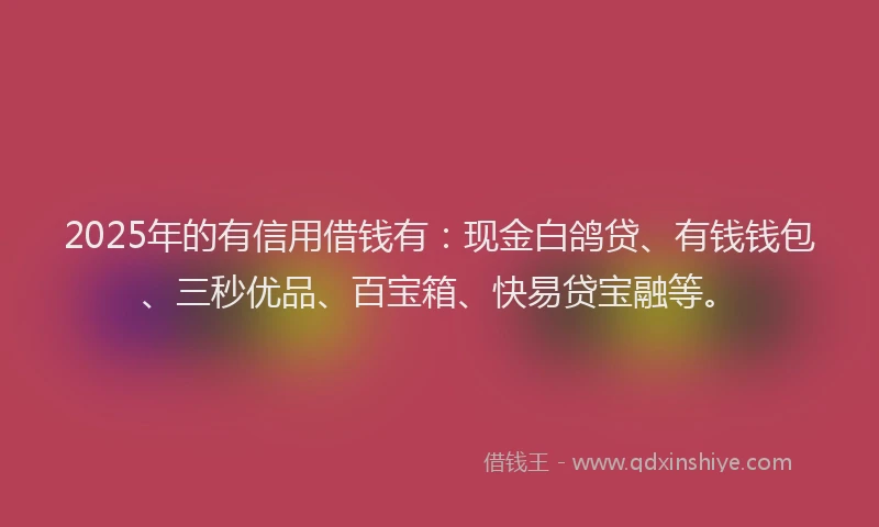 2025年的有信用借钱有：现金白鸽贷、有钱钱包、三秒优品、百宝箱、快易贷宝融等。
