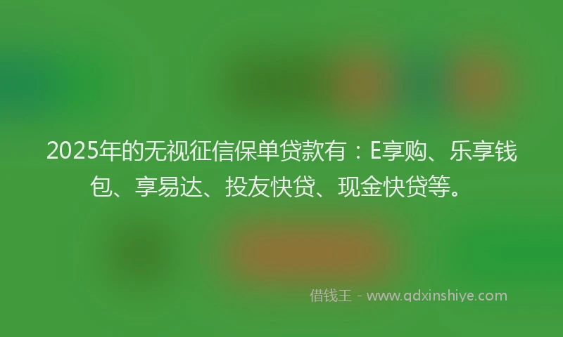 2025年的无视征信保单贷款有：E享购、乐享钱包、享易达、投友快贷、现金快贷等。