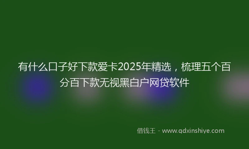有什么口子好下款爱卡2025年精选，梳理五个百分百下款无视黑白户网贷软件