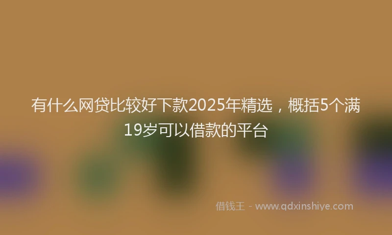 有什么网贷比较好下款2025年精选，概括5个满19岁可以借款的平台