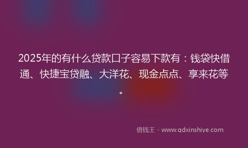 2025年的有什么贷款口子容易下款有：钱袋快借通、快捷宝贷融、大洋花、现金点点、享来花等。