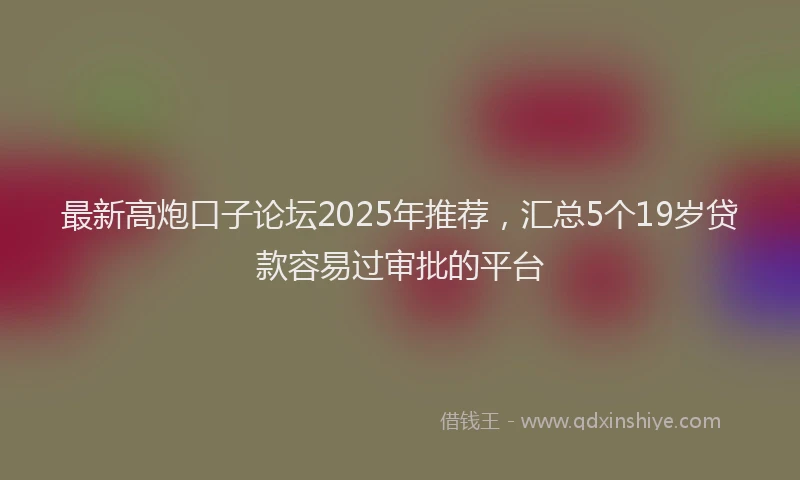最新高炮口子论坛2025年推荐，汇总5个19岁贷款容易过审批的平台