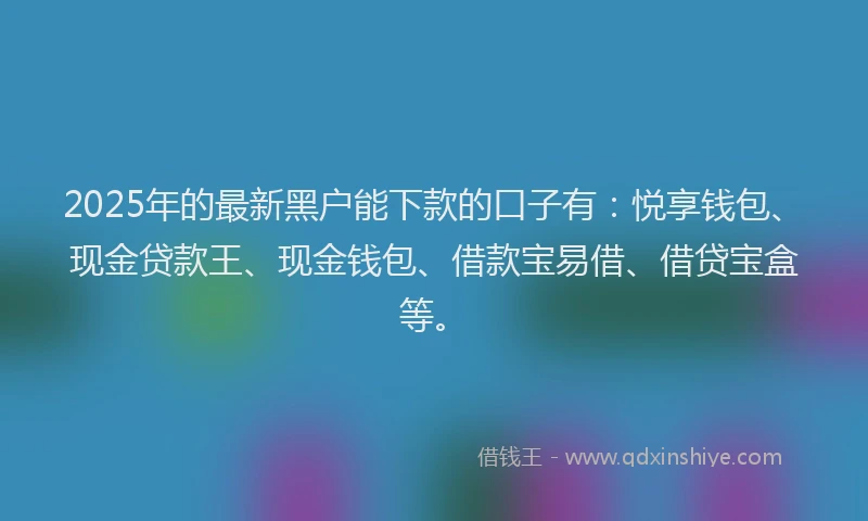 2025年的最新黑户能下款的口子有：悦享钱包、现金贷款王、现金钱包、借款宝易借、借贷宝盒等。