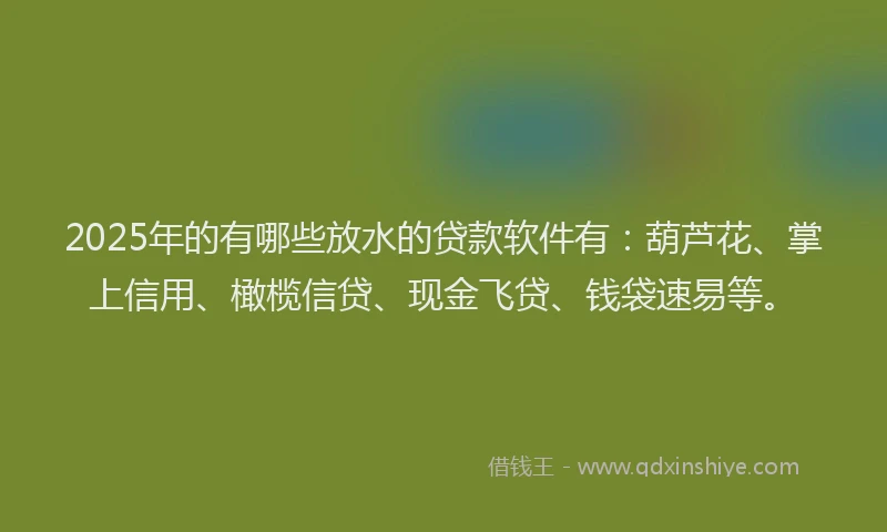 2025年的有哪些放水的贷款软件有：葫芦花、掌上信用、橄榄信贷、现金飞贷、钱袋速易等。