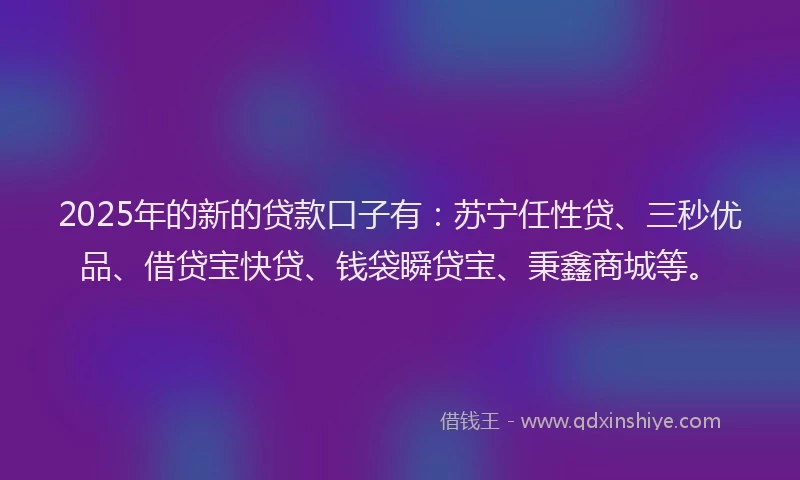 2025年的新的贷款口子有：苏宁任性贷、三秒优品、借贷宝快贷、钱袋瞬贷宝、秉鑫商城等。