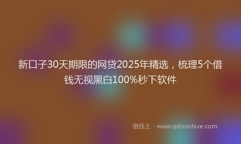 新口子30天期限的网贷2025年精选，梳理5个借钱无视黑白100%秒下软件