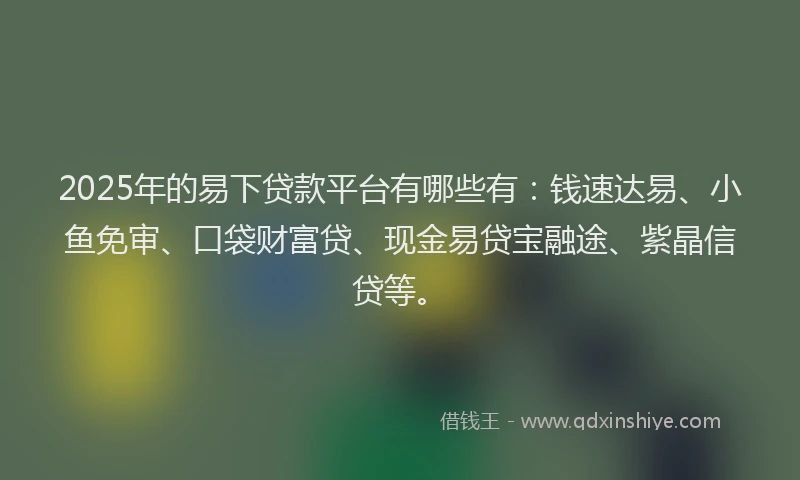 2025年的易下贷款平台有哪些有：钱速达易、小鱼免审、口袋财富贷、现金易贷宝融途、紫晶信贷等。